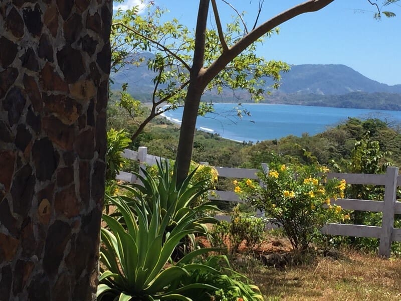 The view from Los Islotes. Flowers, plants and a white fence in the foreground. In the background the blue sea with waves and behind the sea a green mountain.